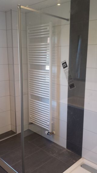 Dusche und Handtuchheizkörper